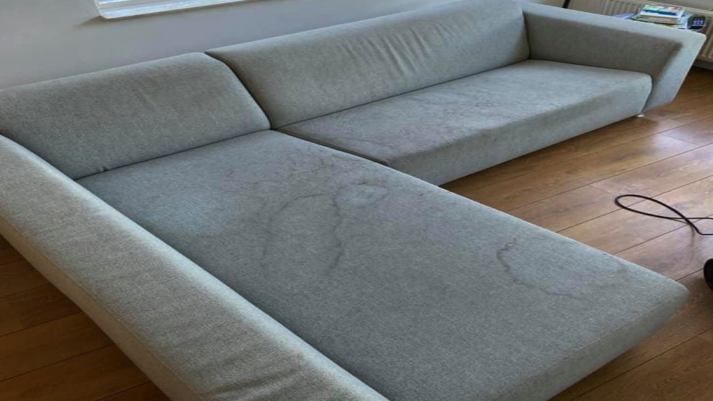 huisstofmijt-bankstel-laten-reinigen